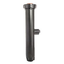 Load image into Gallery viewer, Rain Bird - 1806SAM - 6" Pop-up Spray with Check Valve