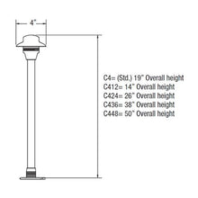 Load image into Gallery viewer, Unique - C6-24-20 - 24V Centaurus Path Light with 6" Hat &amp; Frosted Lens

